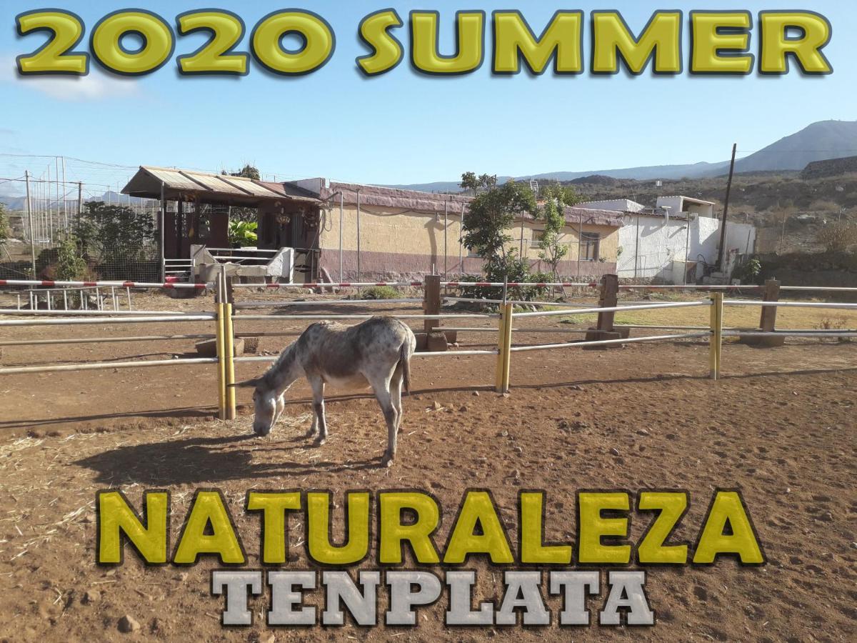 Tenplata Tijoco de Abajo Luaran gambar